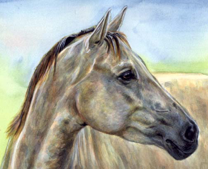 Gray Horse Watercolor Carol Wells