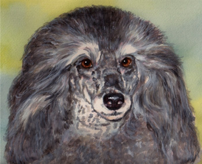Poodle Dog Watercolor Carol Wells