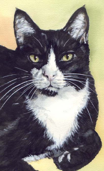 Black White Cat Watercolor Carol Wells