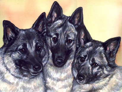 Malinois Dogs Watercolor Carol Wells