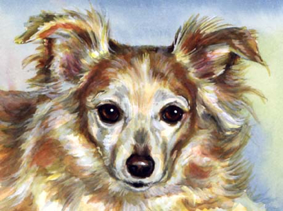 Dog Watercolor Pet Portrait Carol Wells