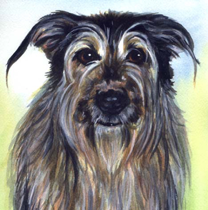 Dog Watercolor Portrait Carol Wells