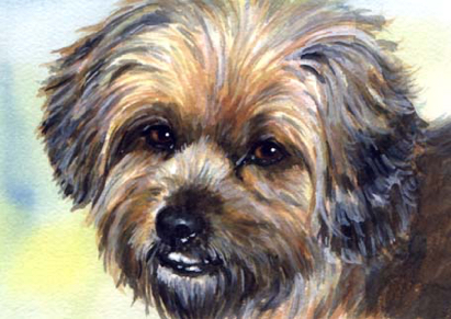 Dog Watercolor Portrait Carol Wells
