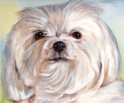 White Dog Watercolor Carol Wells
