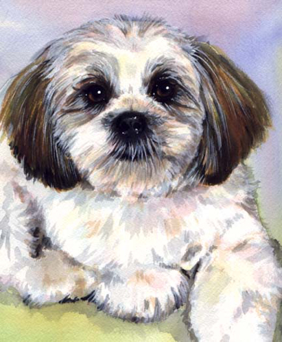 Dog Watercolor Portrait Carol Wells