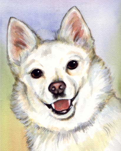 White Dog Watercolor Portrait Carol Wells