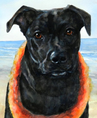 Black Lab Beach Dog Watercolor Carol Wells